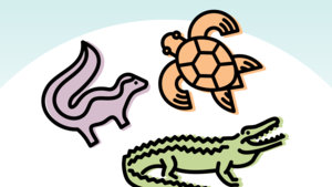 Dragon Tales with the Pennypack Environmental Center